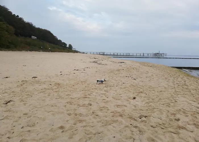 Ostseetraum